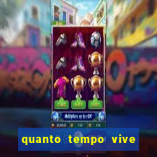 quanto tempo vive um passarinho bem-te-vi